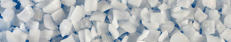 chip type flake ice